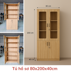Tủ Hồ Sơ THS-01